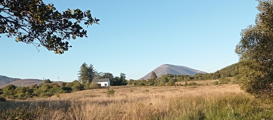Tiarnan O'Cleirigh - County Mayo